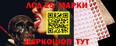 шишки Будённовск