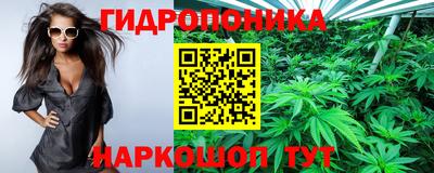 эйфоретик Бугуруслан