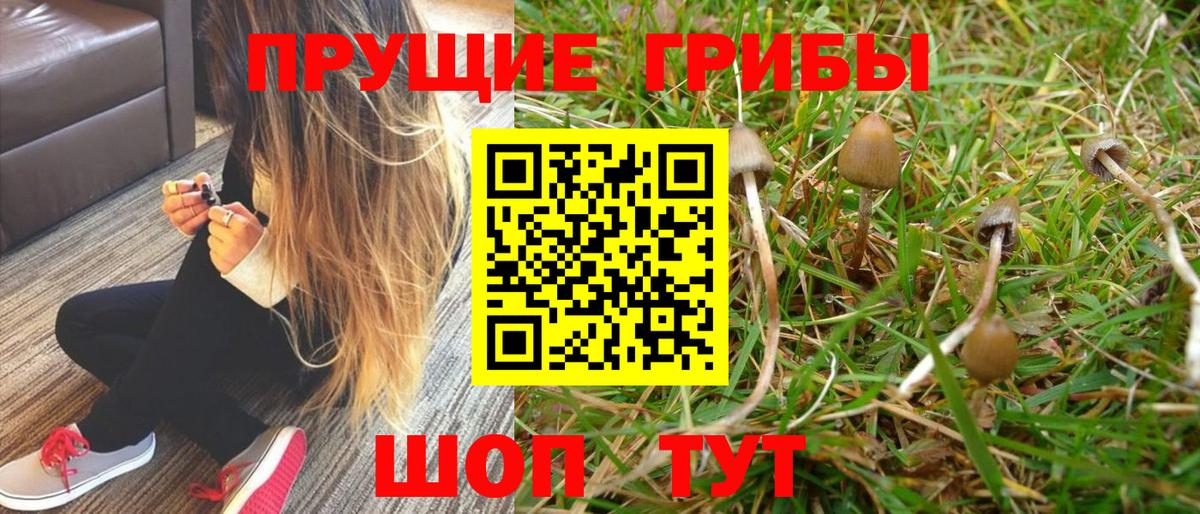 Псилоцибиновые грибы мухоморы Унеча